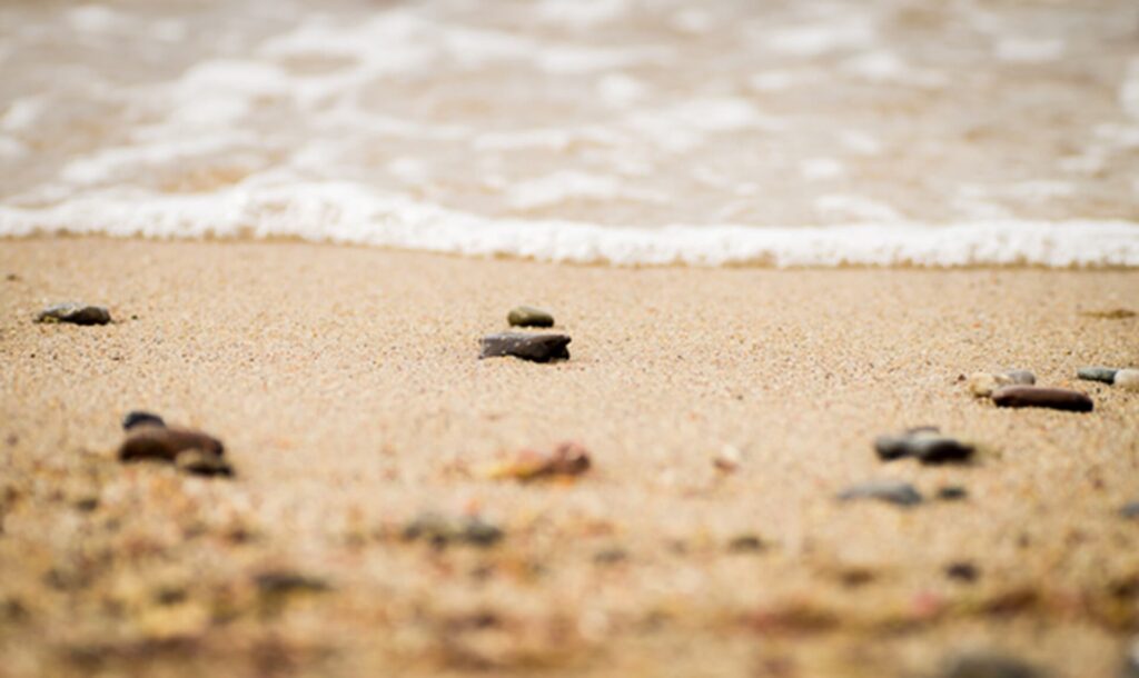 Petra Borchardt Strand