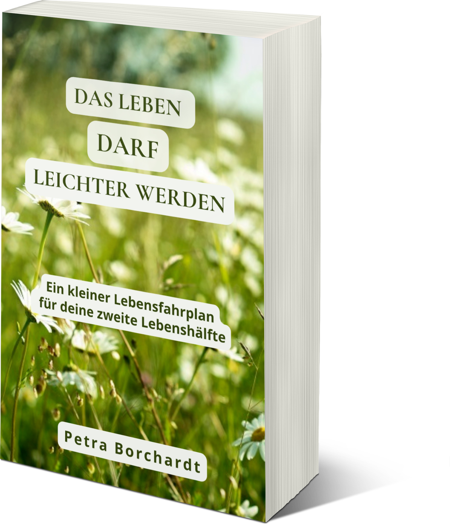 Das Leben darf leichter werden – Ein kleiner Lebensfahrplan für die zweite Lebenshälfte von Petra Borchardt